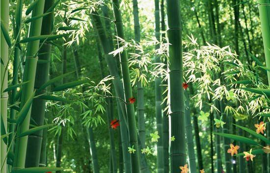大自然沁人心脾的新鮮空氣，在家也能呼吸到